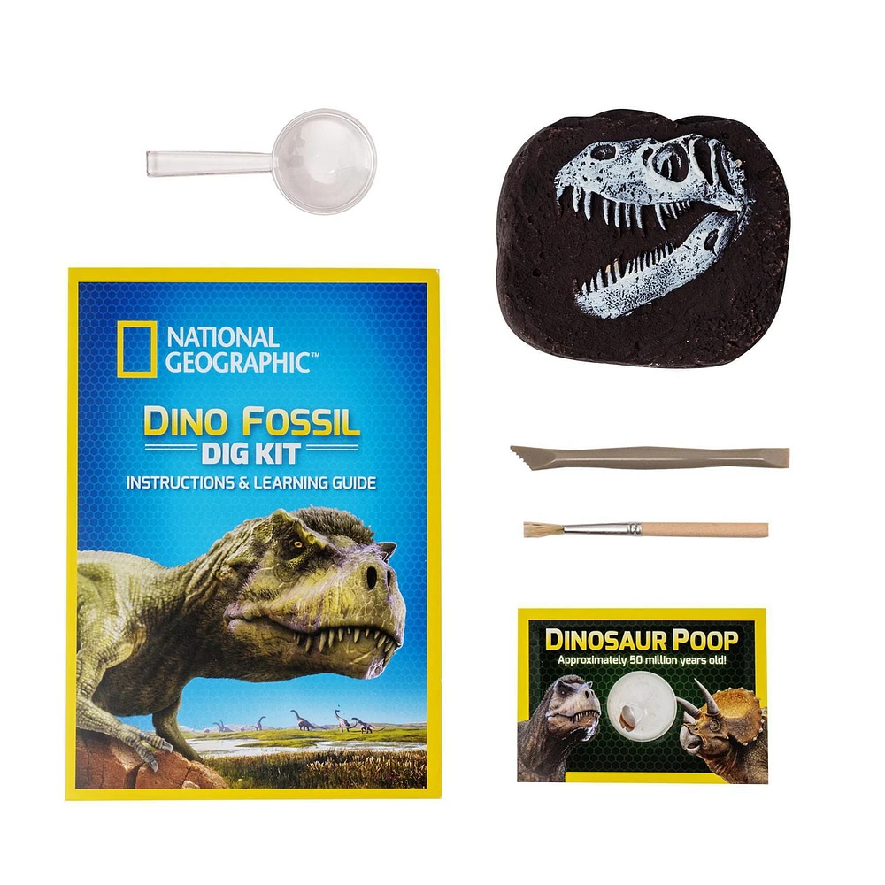 National Geographic Dino Fossil Dig Kit, T Rex Tooth with Genuine Dino Poop Specimen, STEM Series, Ages 8 and up, Dinosaur Tooth Excavation Kit