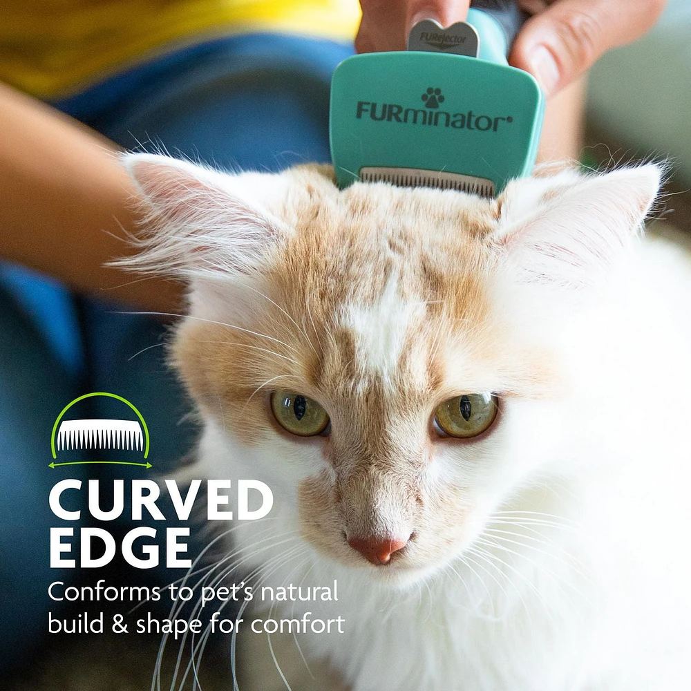 FURminator deShedding Outil pour Petits Chats - Poils Longs PETIT CHAT / CHEVEUX LONGS