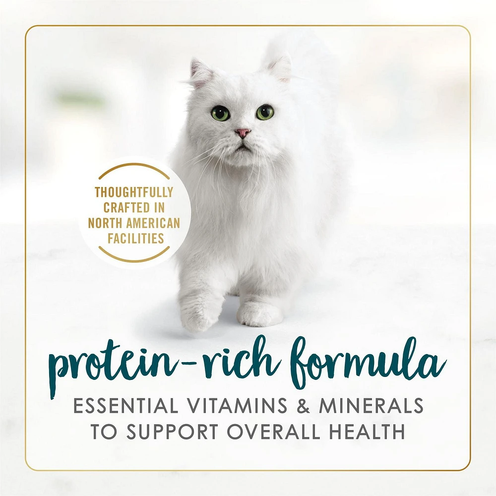 Fancy Feast Pâté Festin de Saumon et de Crevettes Nourriture pour Chats 85 g