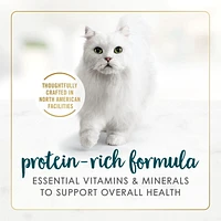 Fancy Feast Pâté Festin de Saumon et de Crevettes Nourriture pour Chats 85 g
