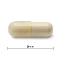 Jamieson Regular Strength Glucosamine 500 mg Capsules, 360 capsules