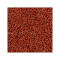 Tetra Color Tropical XL Granules Nourriture pour Poissons 2,65 fois/75 g