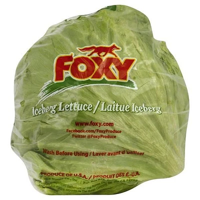 Organic Iceberg Lettuce Foxy