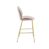 Plata Décor Velvet Stool with Gold Legs