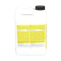 3M™ Safest Stripper™ Paint and Varnish Remover 10101NA