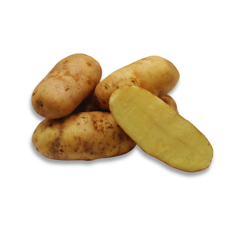 Potato, Russet, Sold in singles, 0.24 - 0.42 kg