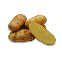 Potato, Russet, Sold in singles, 0.24 - 0.42 kg