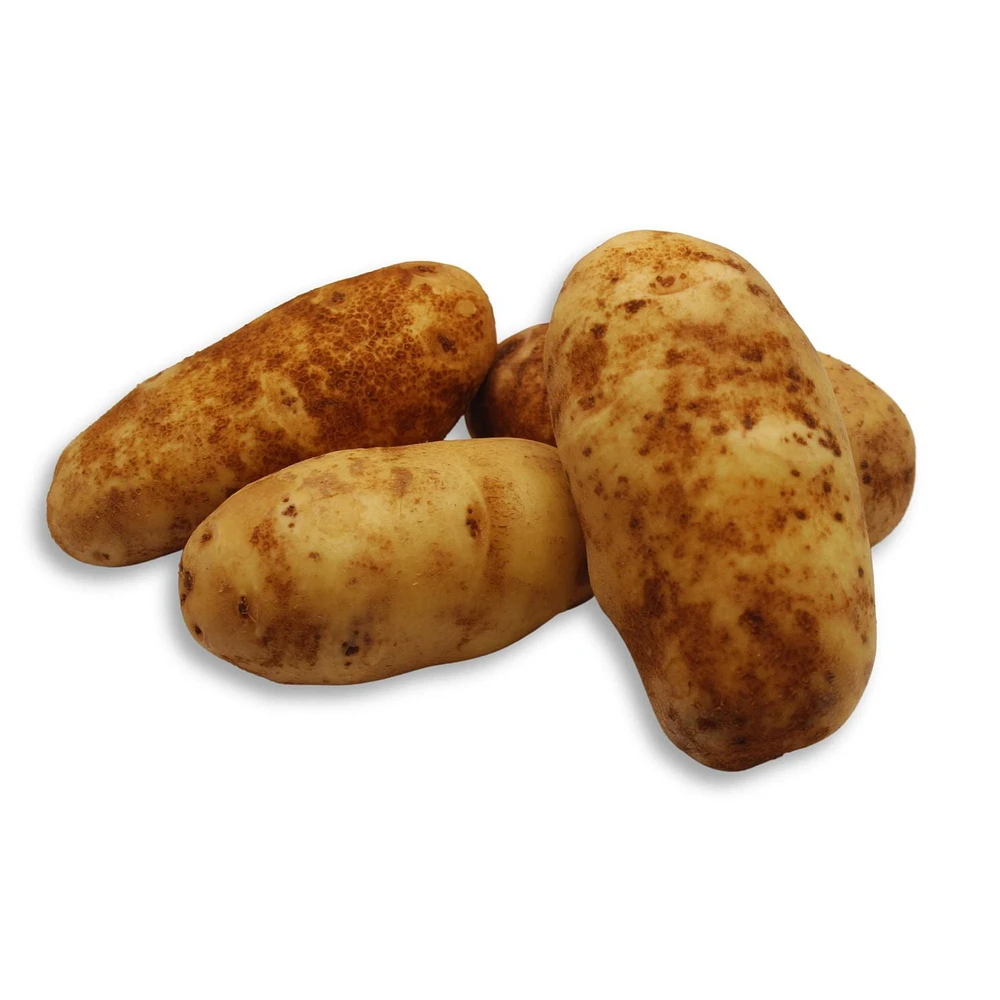 Potato, Russet, Sold in singles, 0.24 - 0.42 kg