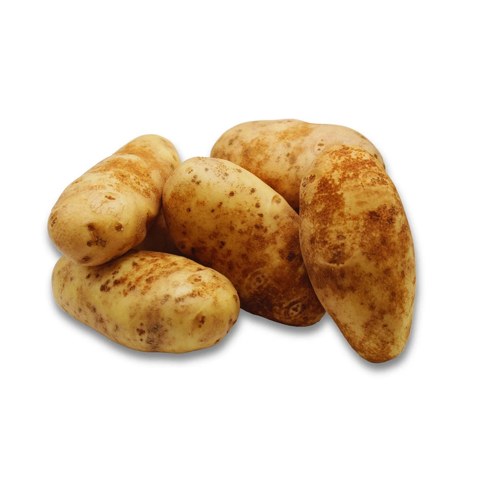 Potato, Russet, Sold in singles, 0.24 - 0.42 kg