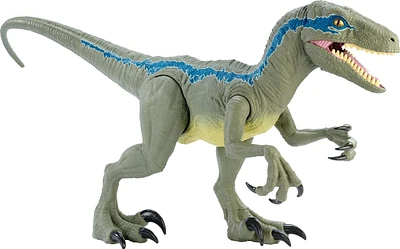 ​Jurassic World Super Colossal Velociraptor 'Blue' Action Figure with Eating Feature, Stands 18in High and 3.5ft Long, Dinosaur Toy Gift