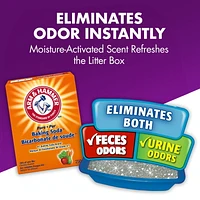 Désodorisant pour litière de chats ARM & HAMMER(MC) à protection double 850g