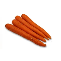 Carrots, Sold in bunches