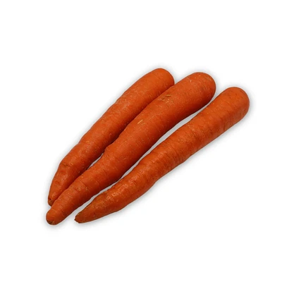 Carottes géantes
