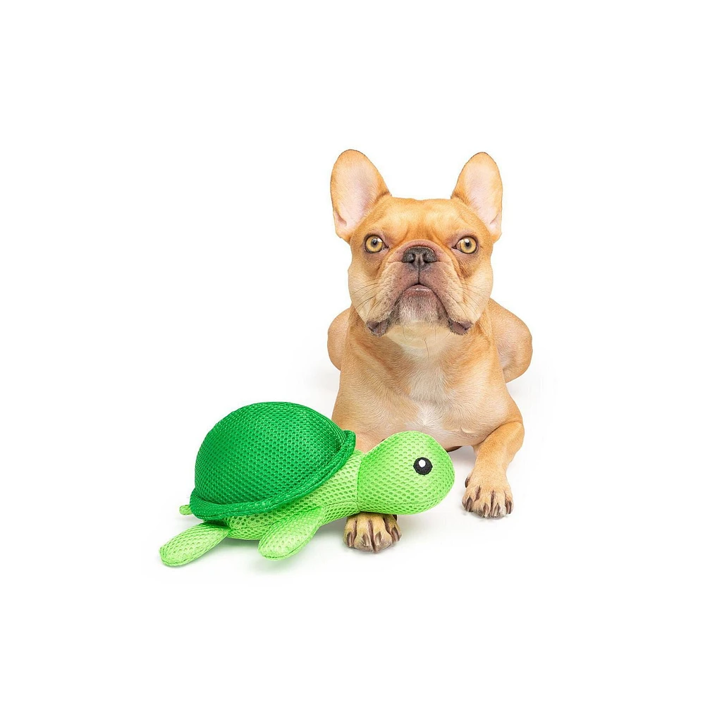 One Paw, Jouet Rafraîchissant Tortue pour Chiens, Flotte sur l’Eau, Durable
