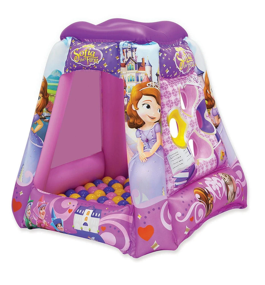 Sofia the First Princess in Training Playland with 20 Balls