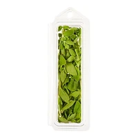 Fresh Oregano, Your Fresh Market, 7 g