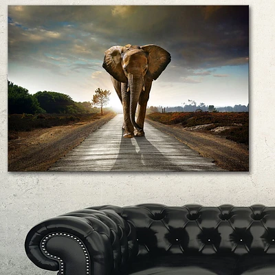 Design Art Single Walking Elephant Photography Canvas Art Print