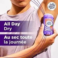 Lady Speed Stick Déodorant Antisudorifique pour Femmes, Infusions Fraîches, Éclat de Fraise, 65 g (Paquet de 2) Lady Speed Stick Antiperspirant Deodoran