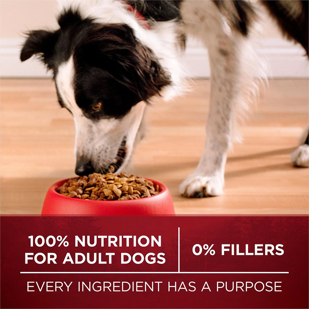 Purina ONE True Instinct Beef & Salmon, Dry Dog Food, 1.72-12.4 kg