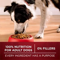 Purina ONE True Instinct Beef & Salmon, Dry Dog Food, 1.72-12.4 kg