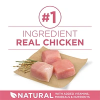 Purina ONE SmartBlend Formule pour la Santé Digestive Poulet, Nourriture Sèche pour Chiens 5,4-9,5kg