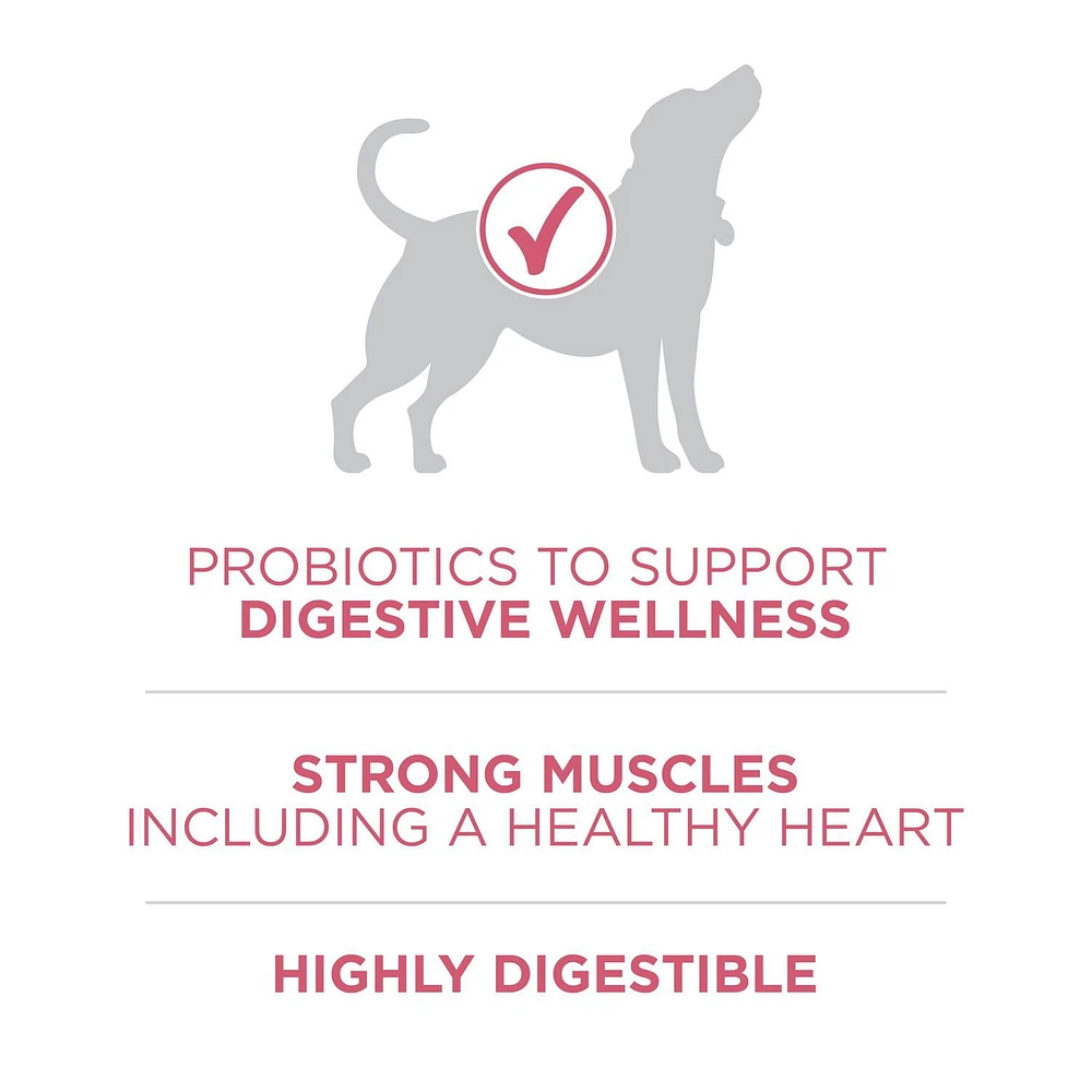Purina ONE SmartBlend Formule pour la Santé Digestive Poulet, Nourriture Sèche pour Chiens 5,4-9,5kg