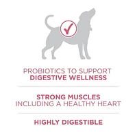 Purina ONE SmartBlend Formule pour la Santé Digestive Poulet, Nourriture Sèche pour Chiens 5,4-9,5kg