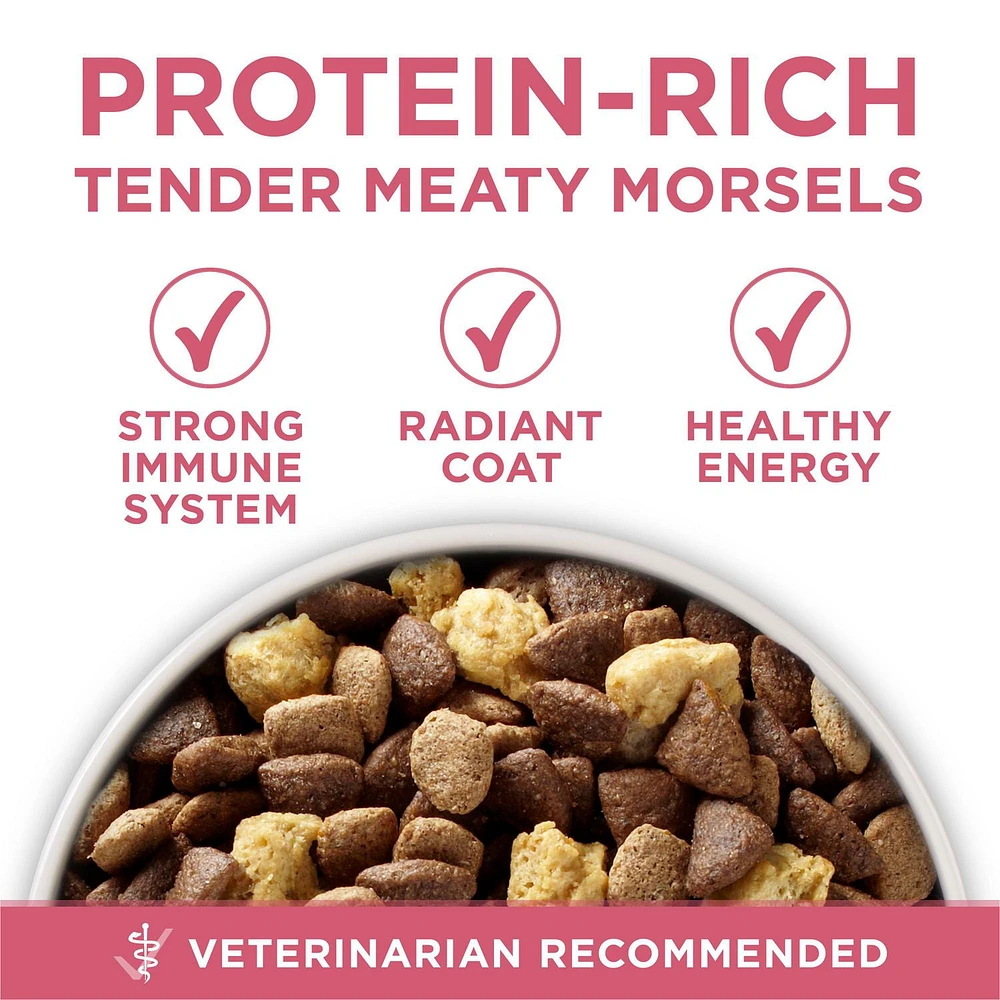 Purina ONE SmartBlend Formule pour la Santé Digestive Poulet, Nourriture Sèche pour Chiens 5,4-9,5kg
