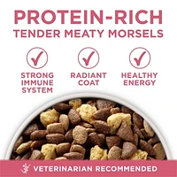 Purina ONE SmartBlend Formule pour la Santé Digestive Poulet, Nourriture Sèche pour Chiens 5,4-9,5kg