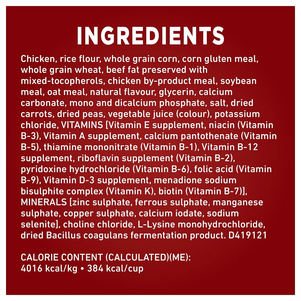 Purina ONE SmartBlend Formule pour la Santé Digestive Poulet, Nourriture Sèche pour Chiens 5,4-9,5kg