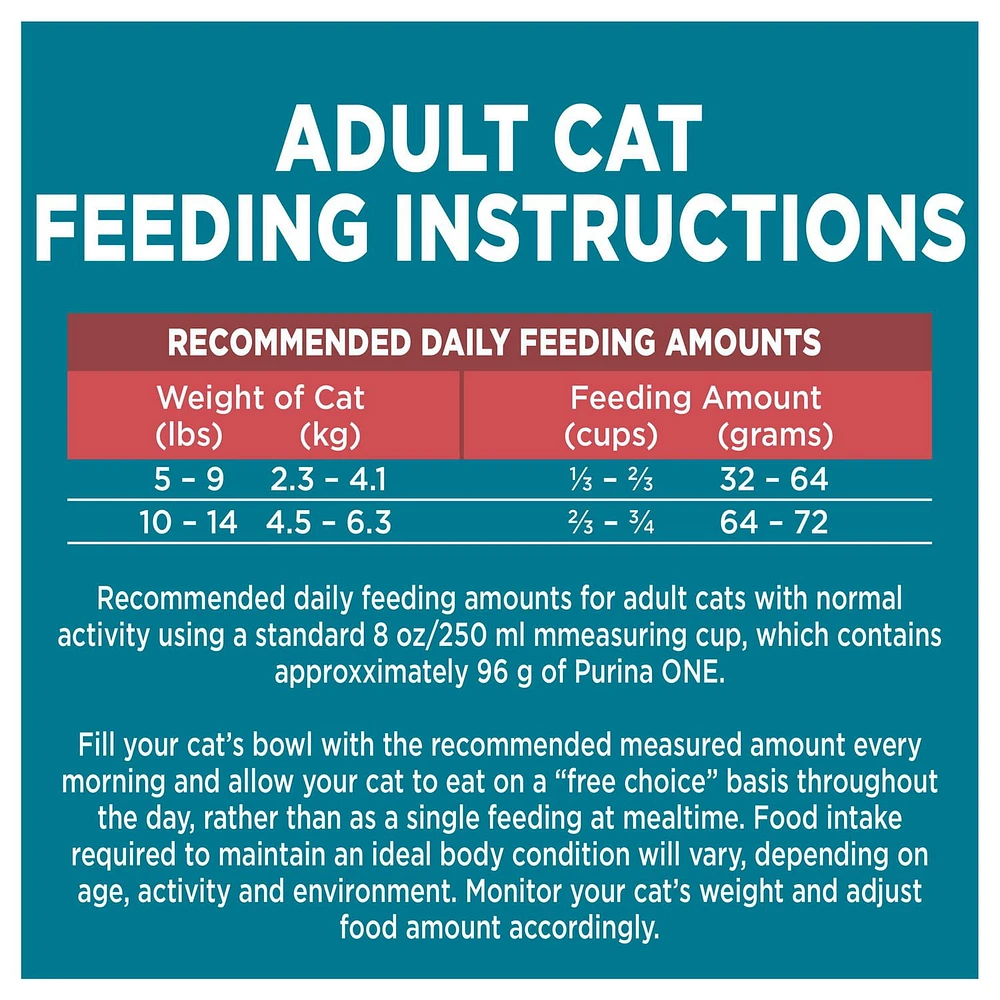 Purina ONE Salmon & Rice, Dry Cat Food, 1.59-7.2 kg