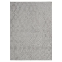 Anenue B Sophelia Grey 5' x 7' area rug