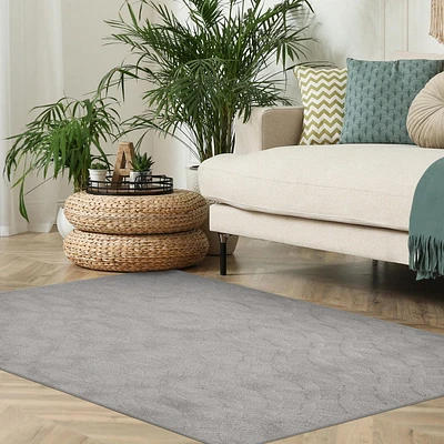 Anenue B Sophelia Grey 5' x 7' area rug