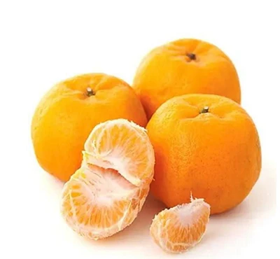 Lokan Mandarine