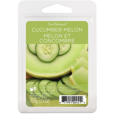 Cubes de cire parfumée ScentSationals - Concombre Melon 2,5 fois (70,9 g)