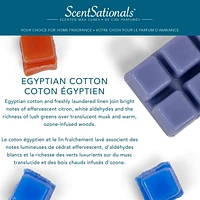 ScentSationals Scented Wax Cubes - Egyptian Cotton