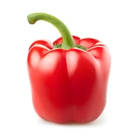 Poivron rouge