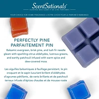 ScentSationals Scented Wax Cubes - Perfectly Pine, 2.5 Oz