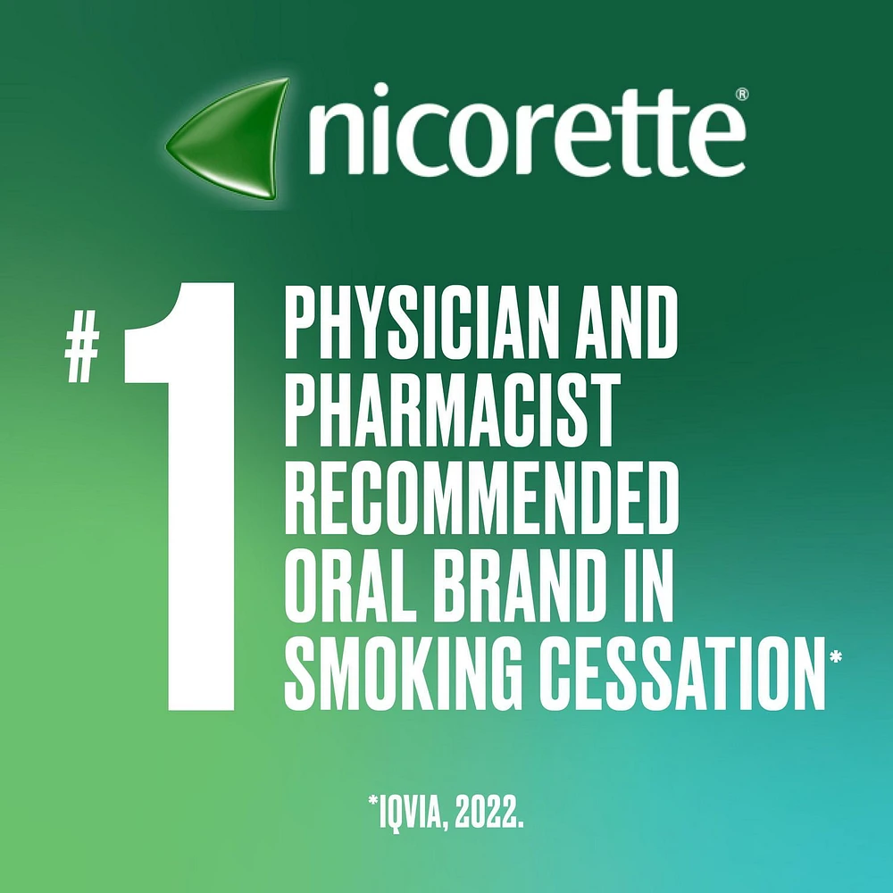 Nicorette Nicotine QuickMist Spray, Quit Smoking Aid, Mild Spearmint 1mg, Duo Pack, 150 Sprays Each x 2