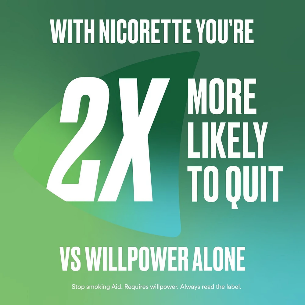 Nicorette Nicotine QuickMist Spray, Quit Smoking Aid, Mild Spearmint 1mg, Duo Pack, 150 Sprays Each x 2