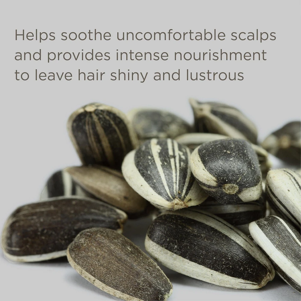 Down to the Basics Fragrance Free Conditioner, Fragrance free conditioner