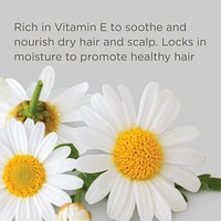 Down to the Basics Fragrance Free Shampoo, Fragrance free shampoo