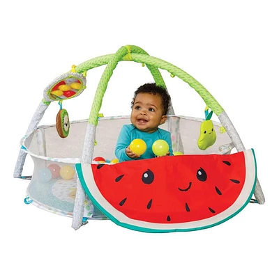 Infantino 4-in-1 Jumbo Activity Gym & Ball Pit, Fruit