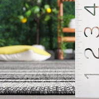 SAFAVIEH Beach House Jenelle Striped Indoor/Outdoor Area Rug