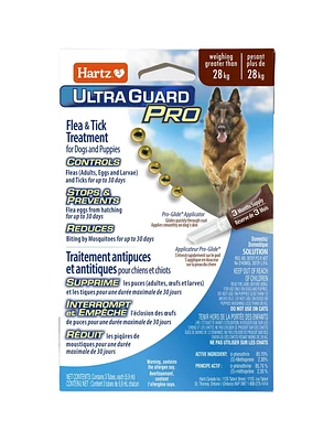 Traitement antipuces et antitiques Ultra Guard Pro de Hartz pour chiens et chiots Applicateur Pro-Glide.  Pour chien plus grand que 28kg/60lbs