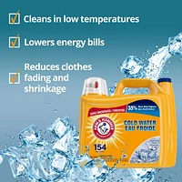 Arm & Hammer Cold Water Clean Fresh Scent, 154 Loads, 4.55-L