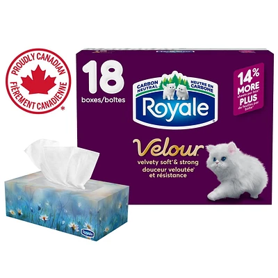 Mouchoirs Royale Velour, 18 boîtes, 82 mouchoirs par boîte 3 ép.,1476 Mouchoirs
