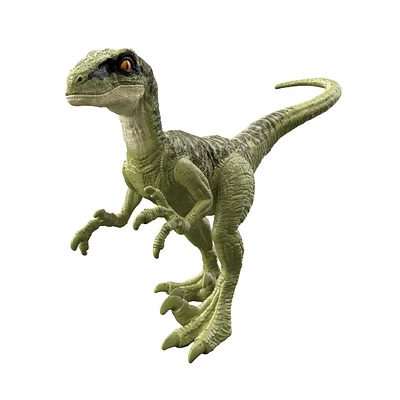 Jurassic World Figurine Velociraptor Coffret Féroce, 3 ans et plus