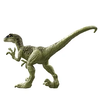 Jurassic World Wild Pack Toys Velociraptor Dinosaur Action Figure 3 Year Olds & Up