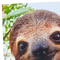 Hallmark Friendship Card, Thinking of You Card (Sloth)